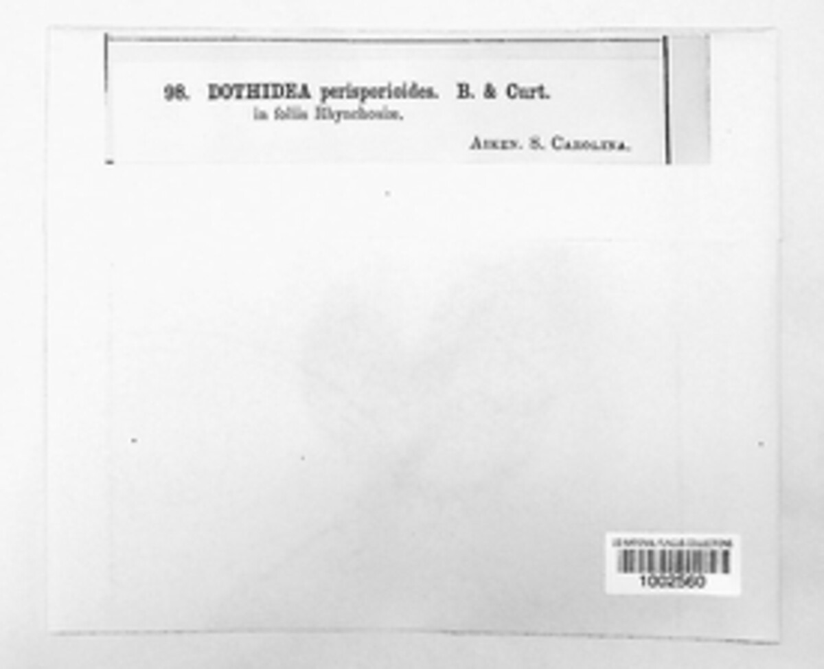 Parodiella perisporioides image